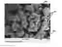 Fig. 01 - Abrasive article including agglomerates having silicon carbide and an inorganic bond material