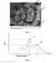 Fig. 03 - Abrasive article including agglomerates having silicon carbide and an inorganic bond material