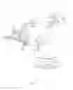 Fig. 03 - Test gripper and test method using the same