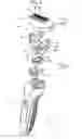 Fig. 05 - Electric shaver