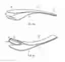 Fig. 08 - Razor with a resilient holder