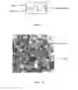 Fig. 05 - Apparatus and method for manufacturing high performance concrete capable of manufacturing high performance concrete through processes of inserting air into normal concrete and dissipating air