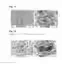 Fig. 08 - Composite molded article