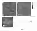 Fig. 10 - Nanoporous stamp for flexographic printing
