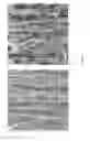 Fig. 12 - Nanoporous stamp for flexographic printing