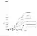 Fig. 07 - Pneumatic tire with specified tread thickness distribution and specified section width in relation to bead diameter