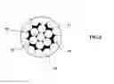 Fig. 03 - Tire comprising carcass reinforcement cords with low permeability