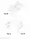 Fig. 05 - Tire