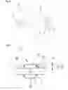 Fig. 04 - Longitudinal control arm