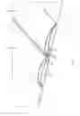 Fig. 08 - Rollo assembly