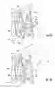 Fig. 04 - Structural cam for latch
