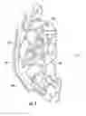 Fig. 05 - Structural cam for latch