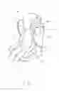 Fig. 02 - Child safety seat