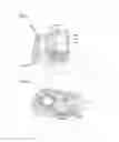 Fig. 04 - Driving device of electric folding type side view mirror for a vehicle