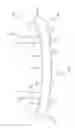 Fig. 03 - Bumper assemblies including spacer members and vehicles incorporating the same