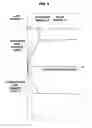 Fig. 06 - Vibration damping device for vehicle body