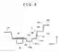 Fig. 10 - Vehicle hood structure