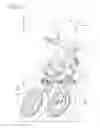 Fig. 12 - Vehicle