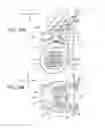 Fig. 11 - Vehicle