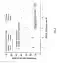 Fig. 07 - Micro-nano hierarchical structure for drag reduction and microbial adhesion prevention and marine structure comprising the same