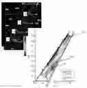 Fig. 01 - FLUIDIC FENCE FOR PERFORMANCE ENHANCEMENT