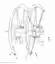 Fig. 20 - Rotary device, for instance an air mover such as a fan, a propeller or a lifting rotor, a water turbine or a wind turbine
