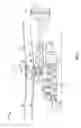 Fig. 02 - Torque split gearbox for rotary wing aircraft