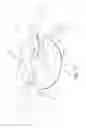 Fig. 16 - Apparatus and method for drinking container cover