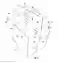 Fig. 06 - Carrier for containers