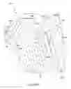 Fig. 05 - COMPOSITE PACKAGE, TRAY AND BLANK THEREFOR