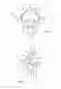 Fig. 02 - Pulley