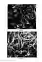 Fig. 03 - Method and synthesis reactor for producing carbon nanotubes