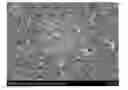 Fig. 01 - GENERAL METHOD FOR FUNCTIONALIZING CARBON NANOTUBES VIA SOLVENT FREE DIELS-ALDER REACTIONS