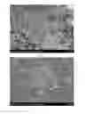 Fig. 02 - GENERAL METHOD FOR FUNCTIONALIZING CARBON NANOTUBES VIA SOLVENT FREE DIELS-ALDER REACTIONS