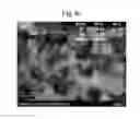 Fig. 08 - APPARATUS FOR PRODUCING Si NANOPARTICLES USING MICROWAVE PLASMA AND PRODUCTION METHOD USING THE SAME