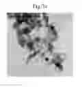 Fig. 11 - APPARATUS FOR PRODUCING Si NANOPARTICLES USING MICROWAVE PLASMA AND PRODUCTION METHOD USING THE SAME