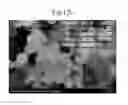 Fig. 18 - APPARATUS FOR PRODUCING Si NANOPARTICLES USING MICROWAVE PLASMA AND PRODUCTION METHOD USING THE SAME