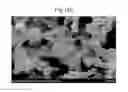 Fig. 25 - APPARATUS FOR PRODUCING Si NANOPARTICLES USING MICROWAVE PLASMA AND PRODUCTION METHOD USING THE SAME