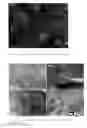 Fig. 03 - Preparation and Use of Zinc Compounds