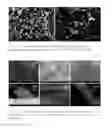 Fig. 04 - Preparation and Use of Zinc Compounds