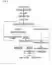 Fig. 03 - Process for producing hematite for ironmaking