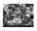Fig. 07 - HIGH STRENGTH GLASS-CERAMICS HAVING LITHIUM DISILICATE AND BETA-SPODUMENE STRUCTURES