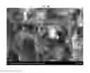 Fig. 08 - HIGH STRENGTH GLASS-CERAMICS HAVING LITHIUM DISILICATE AND BETA-SPODUMENE STRUCTURES