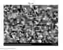 Fig. 09 - HIGH STRENGTH GLASS-CERAMICS HAVING LITHIUM DISILICATE AND BETA-SPODUMENE STRUCTURES