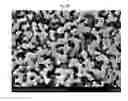 Fig. 12 - HIGH STRENGTH GLASS-CERAMICS HAVING LITHIUM DISILICATE AND BETA-SPODUMENE STRUCTURES