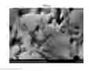 Fig. 15 - HIGH STRENGTH GLASS-CERAMICS HAVING LITHIUM DISILICATE AND BETA-SPODUMENE STRUCTURES
