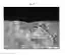 Fig. 18 - HIGH STRENGTH GLASS-CERAMICS HAVING LITHIUM DISILICATE AND BETA-SPODUMENE STRUCTURES
