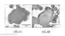 Fig. 05 - Reactive composite foil