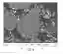 Fig. 10 - Reactive composite foil