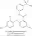 Fig. 49 - Sulfonamides as modulators of sodium channels